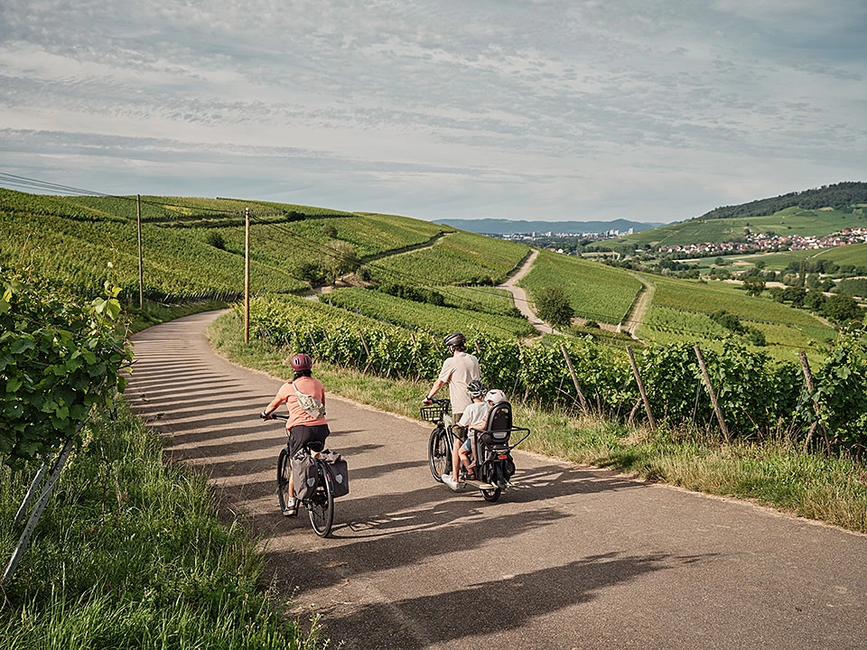 Familie radelt am Weinberg Schönberg Familie radelt am Weinberg Schönberg